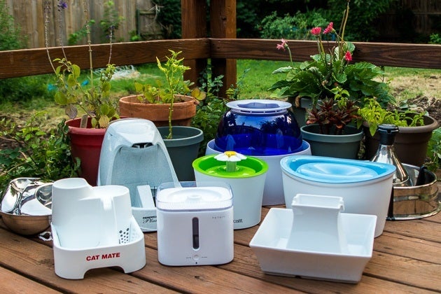 are elevated food bowls good for cats Elevated Cat Bowl + Stone Base