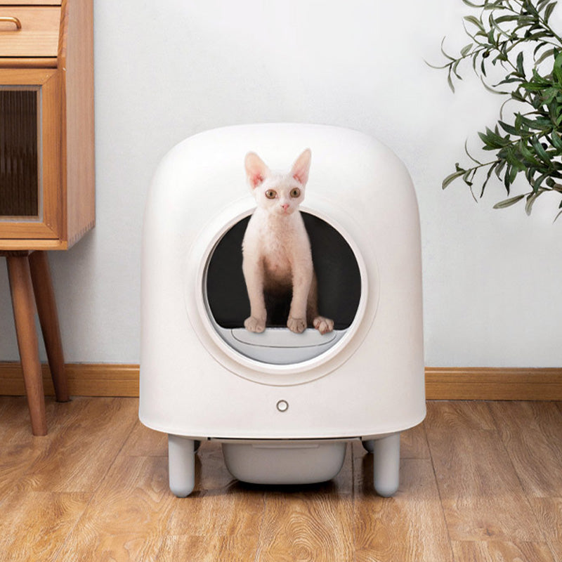 2022 Petree Automatic Self Cleaning 2.0 Cat Litter Box