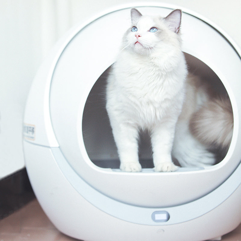 Petree Self Cleaning Litter Box
