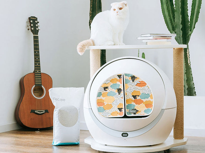 8 Best Self Cleaning Cat Litter Boxes (Update 2022)