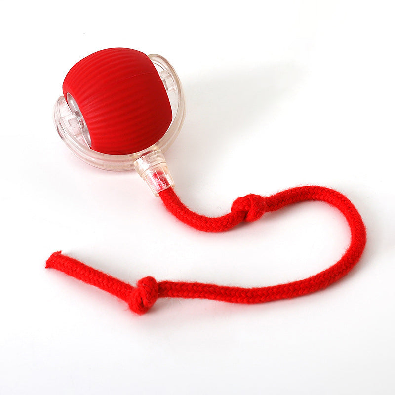 Intelligent Rolling Ball Pet Interactive Electric Toy
