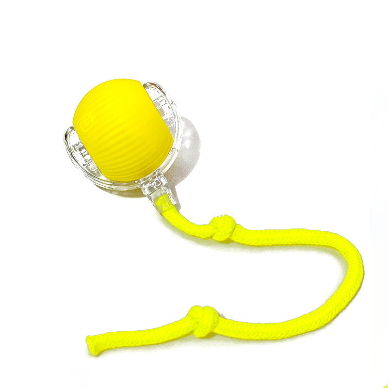 Intelligent Rolling Ball Pet Interactive Electric Toy
