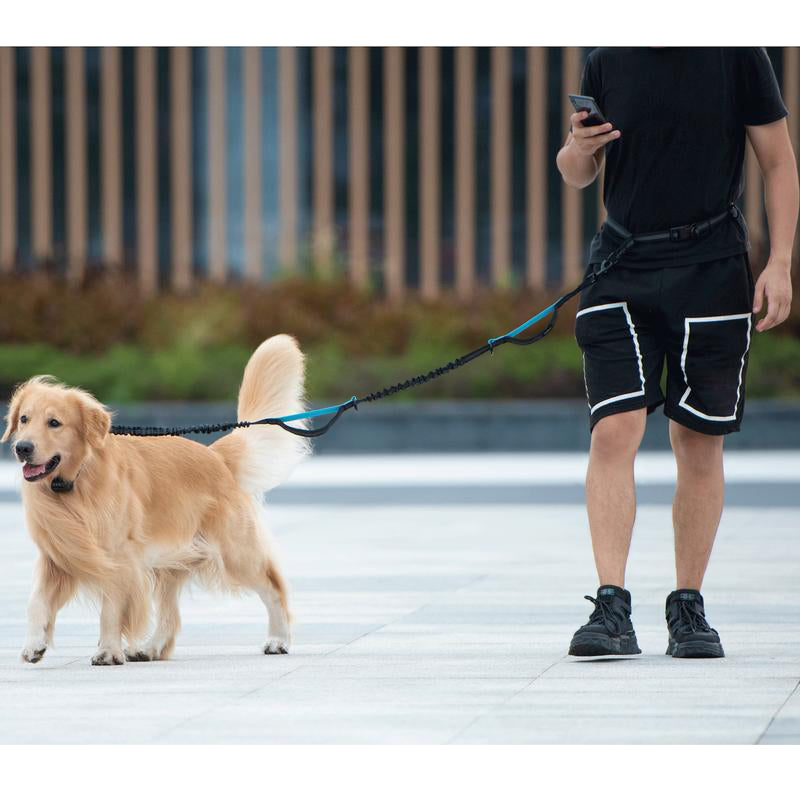 Hands Free Dog Leash with Zipper Pouch