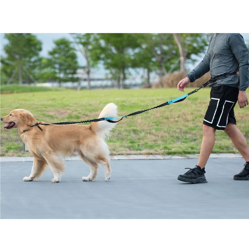 Hands Free Dog Leash with Zipper Pouch