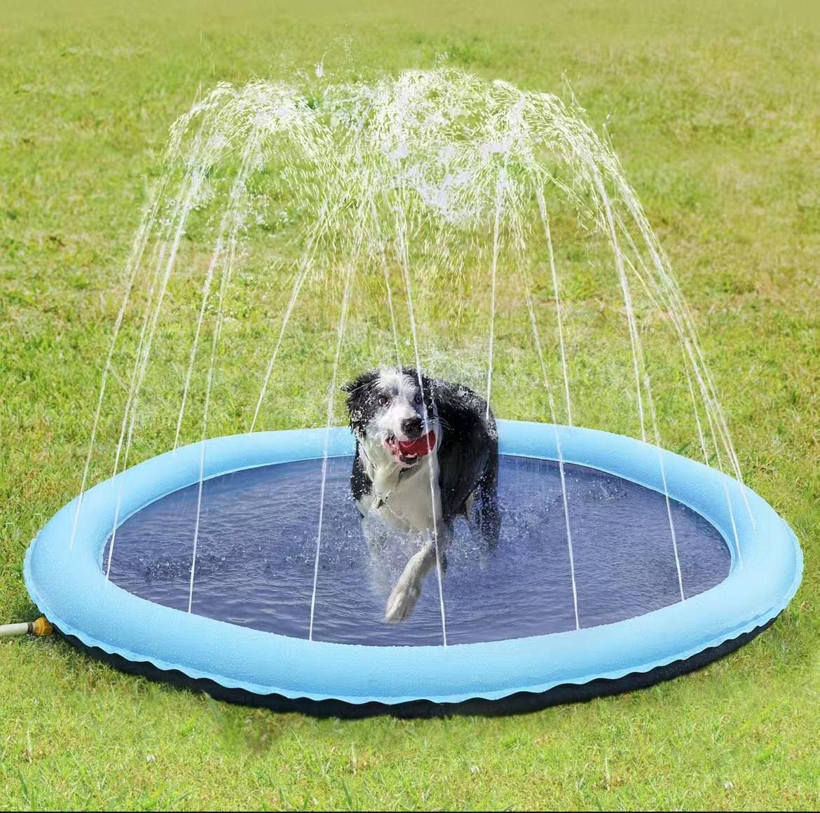 Fun Outdoor Water Sprinkler For Dogs Pet Play Shower Pad