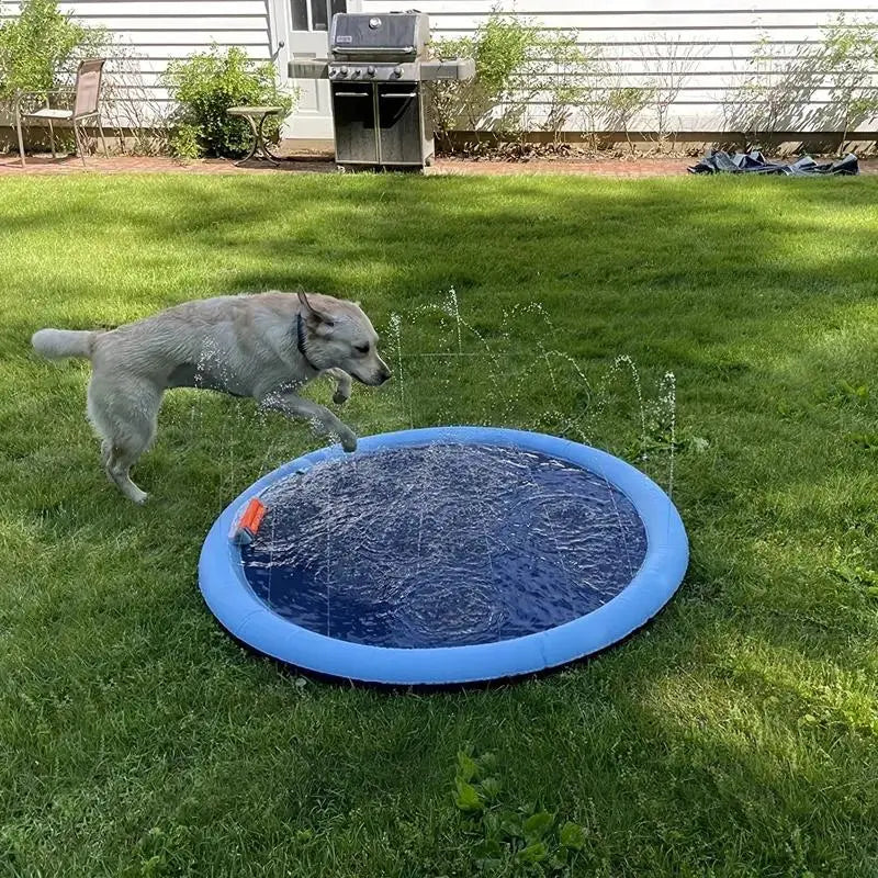Fun Outdoor Water Sprinkler For Dogs Pet Play Shower Pad