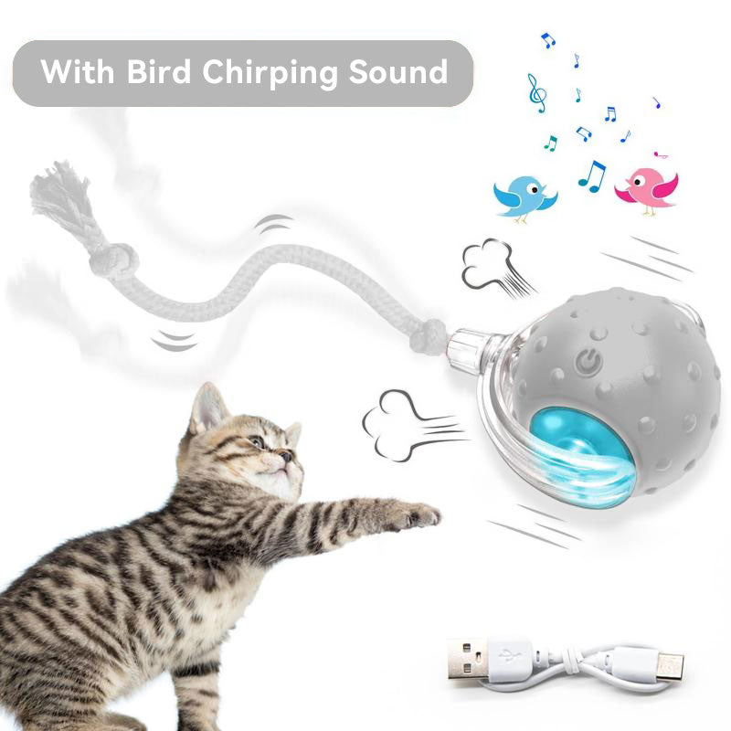 Intelligent Rolling Ball Pet Interactive Electric Toy