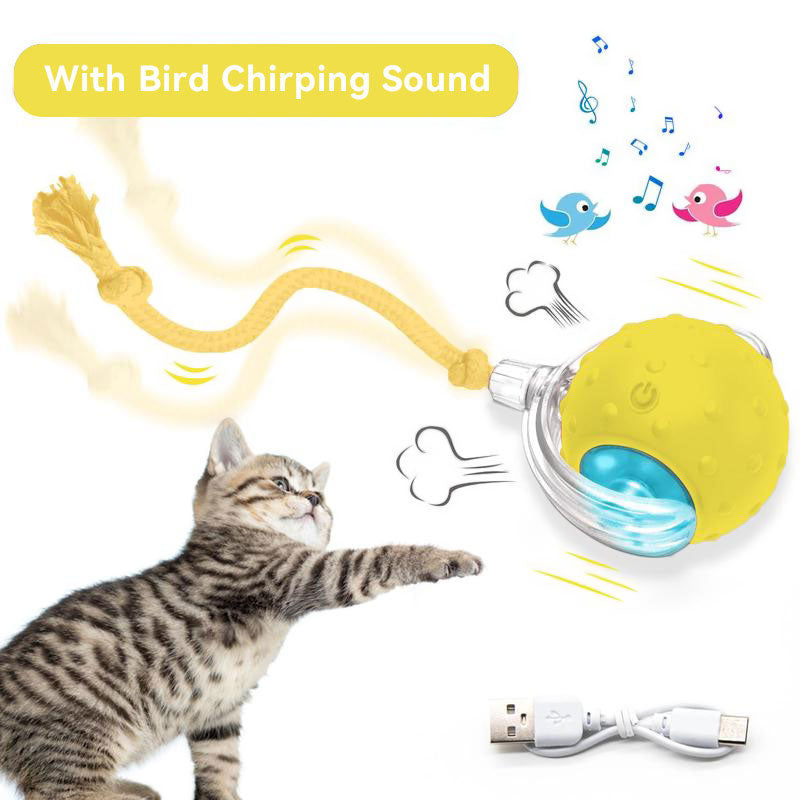 Intelligent Rolling Ball Pet Interactive Electric Toy