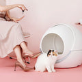 2023 Petree Automatic Self Cleaning Cat Litter Box