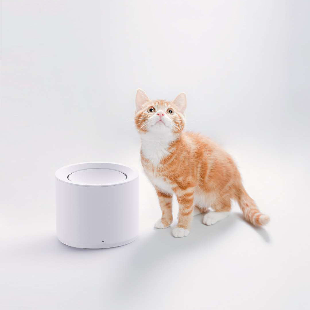 Petree Automatic Cat Water Fountain Dispenser Petree Litter Boxes